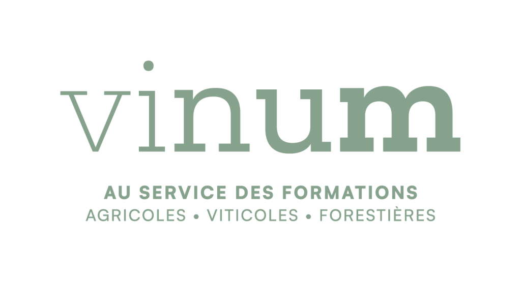 vinum