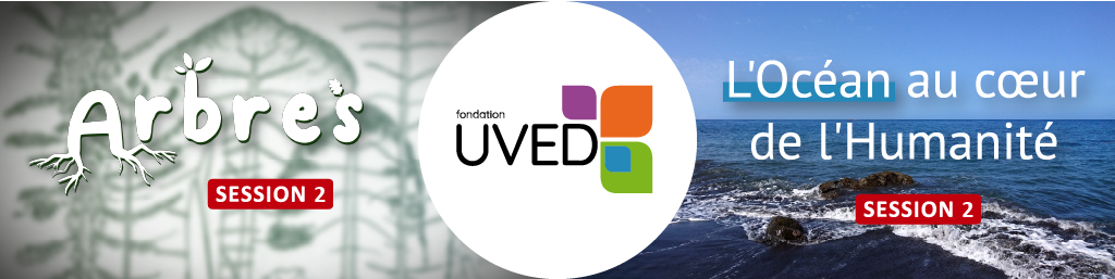 Les vidéos des MOOC « Arbres » et « L’Océan au cœur de l’humanité », session 2, sont disponibles sur les plateformes d’UVED Mooc arbres et océan