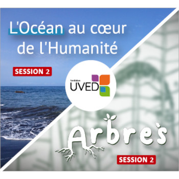 Les vidéos des MOOC « Arbres » et « L’Océan au cœur de l’humanité », session 2, sont disponibles sur les plateformes d’UVED mooc arbres et océan