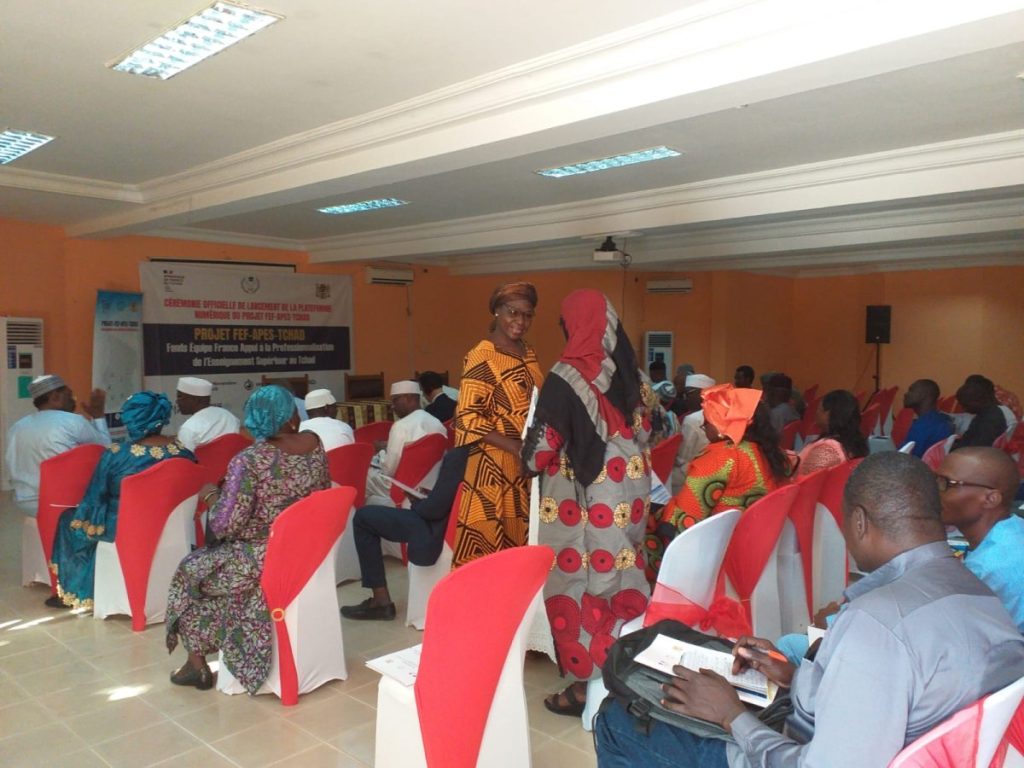 Mission projet APES TCHAD