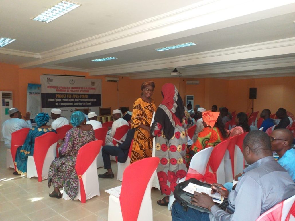 300 ressources Moodle partagées sur la plateforme numérique APES Tchad Tchad