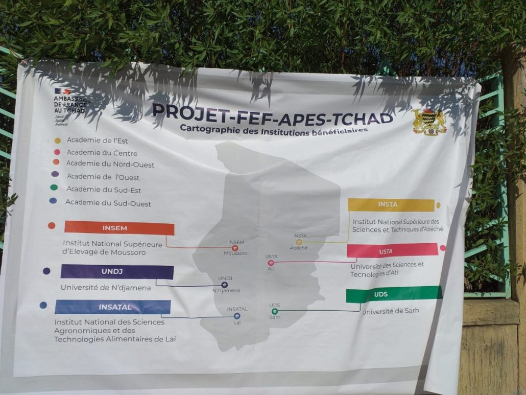 300 ressources Moodle partagées sur la plateforme numérique APES Tchad Tchad