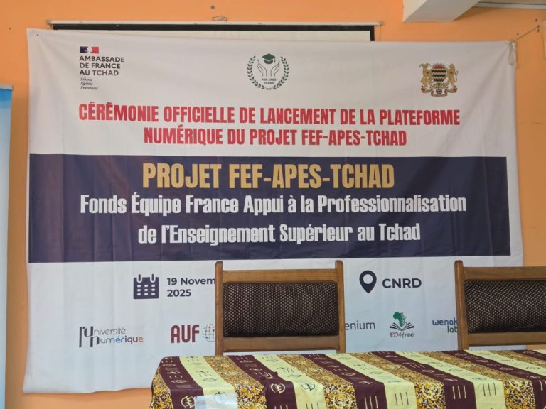Affiche du lancement du projet APES Tchad