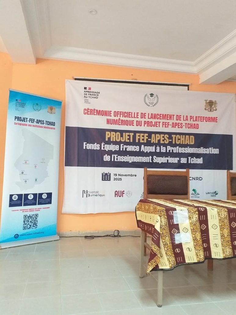 300 ressources Moodle partagées sur la plateforme numérique APES Tchad Tchad