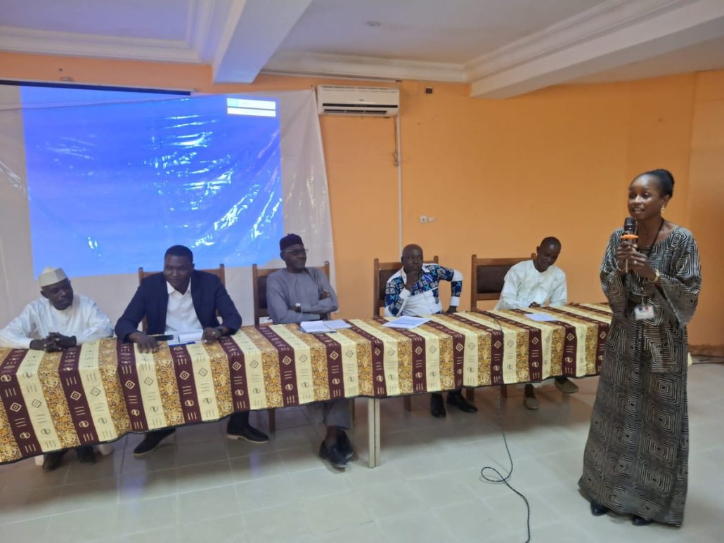 300 ressources Moodle partagées sur la plateforme numérique APES Tchad Tchad