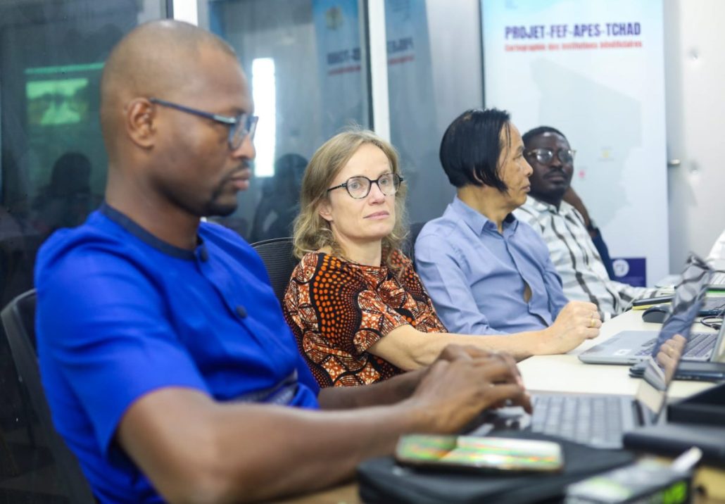 300 ressources Moodle partagées sur la plateforme numérique APES Tchad Tchad