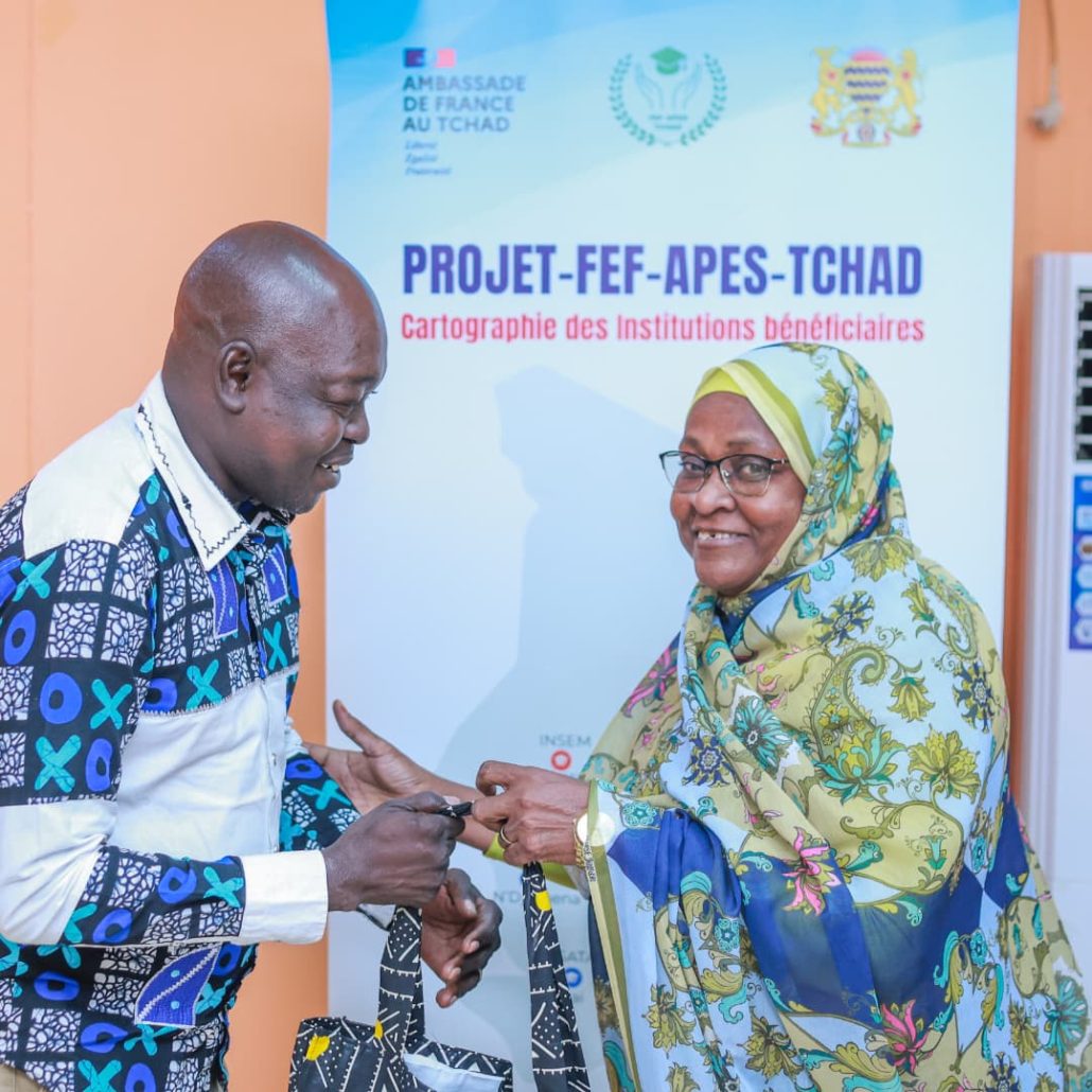 300 ressources Moodle partagées sur la plateforme numérique APES Tchad Tchad