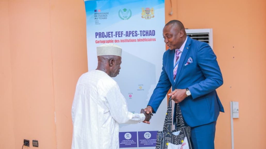 300 ressources Moodle partagées sur la plateforme numérique APES Tchad Tchad