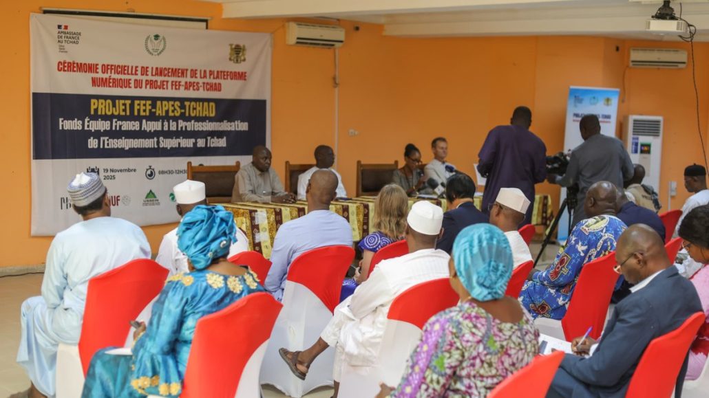 300 ressources Moodle partagées sur la plateforme numérique APES Tchad Tchad